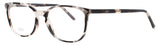 ANDY WOLF 4556 Frame BLACK Lens DEMO