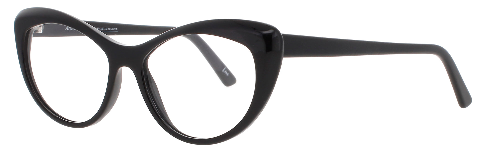 ANDY WOLF 5088 Frame BLACK Lens DEMO