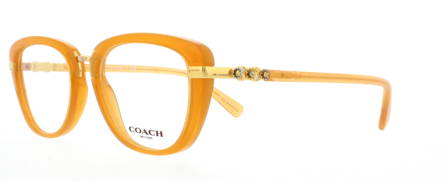 COACH 0HC6177 Frame TRANSPARENT BROWN Lens DEMO